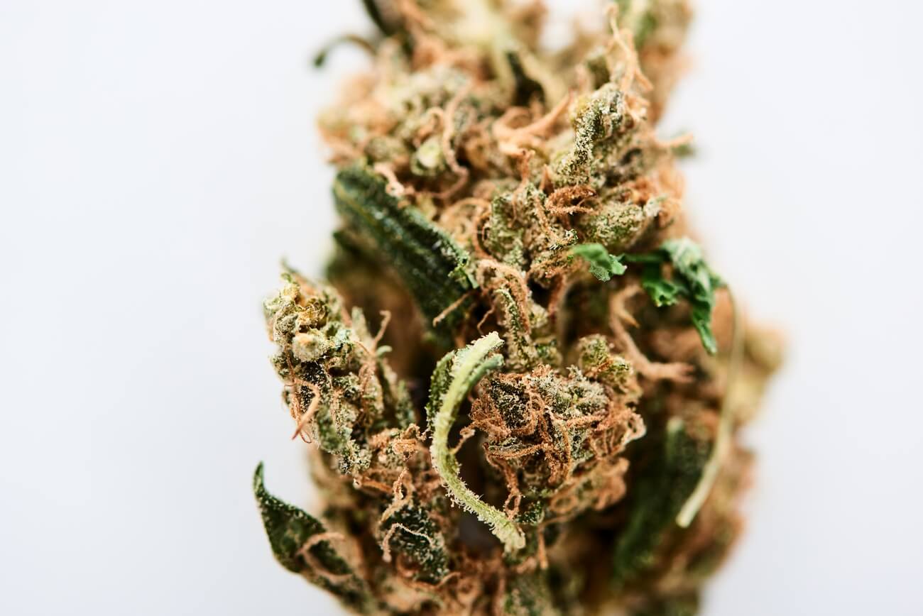 close up view of textured marijuana bud isolated o 2023 11 27 05 02 20 utc